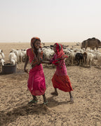 around a well at Borkou desert, Tchad Poster och Canvastavla