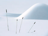 Still life in Winter Poster och Canvastavla