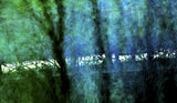 A Light in the Dark Poster och Canvastavla