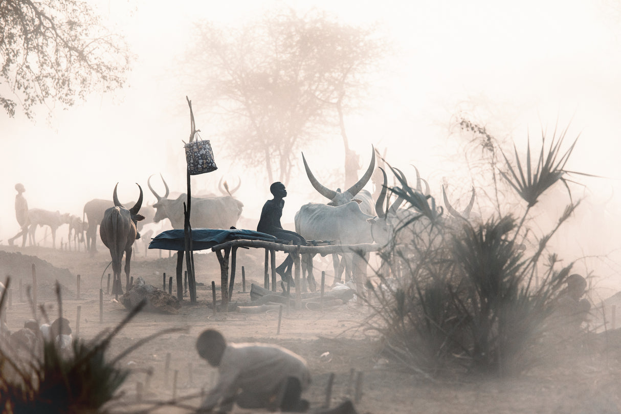 Afternoon in a Mundari Camp Poster och Canvastavla