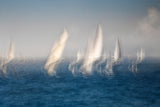 Sails Poster och Canvastavla