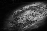 The migration of Kazakh herdsmen Poster och Canvastavla