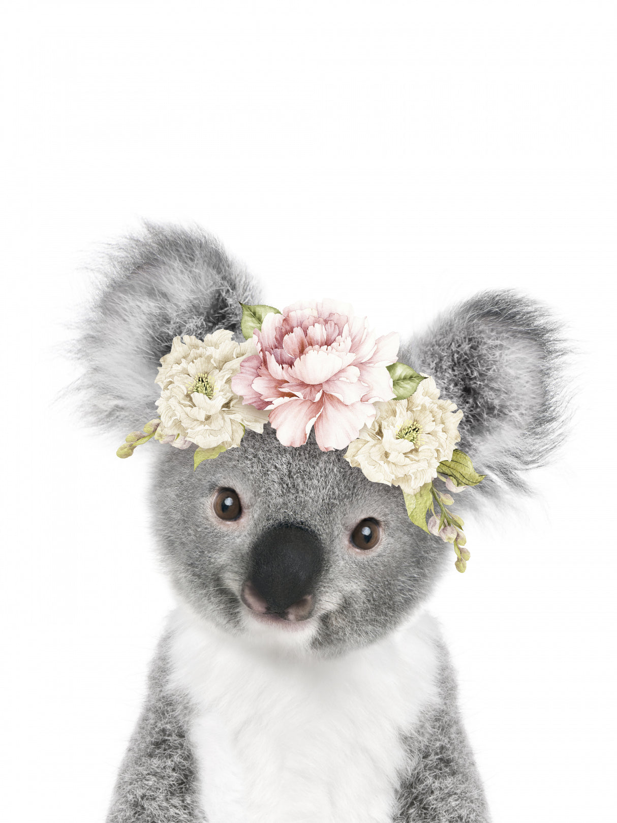 Floral Baby Koala Poster och Canvastavla