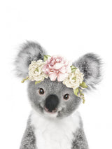 Floral Baby Koala Poster och Canvastavla