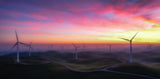 The Windmill Farm at Dawn Poster och Canvastavla