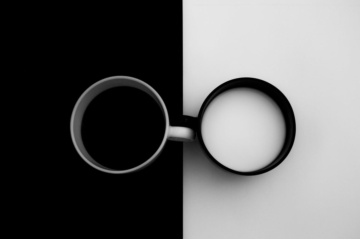Opposites attract Poster och Canvastavla