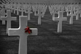 No more wars Poster och Canvastavla