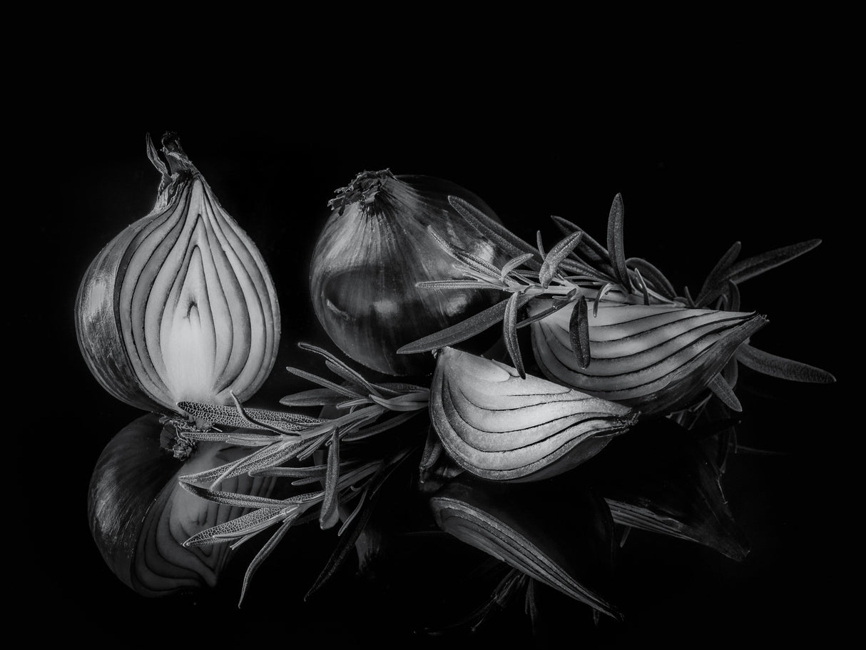 onion Poster och Canvastavla