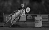 Cowgirl Barrel Racing Poster och Canvastavla
