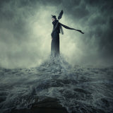 Queen of the darkness Poster och Canvastavla