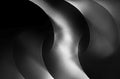 Curved Poster och Canvastavla