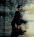shadows Poster och Canvastavla