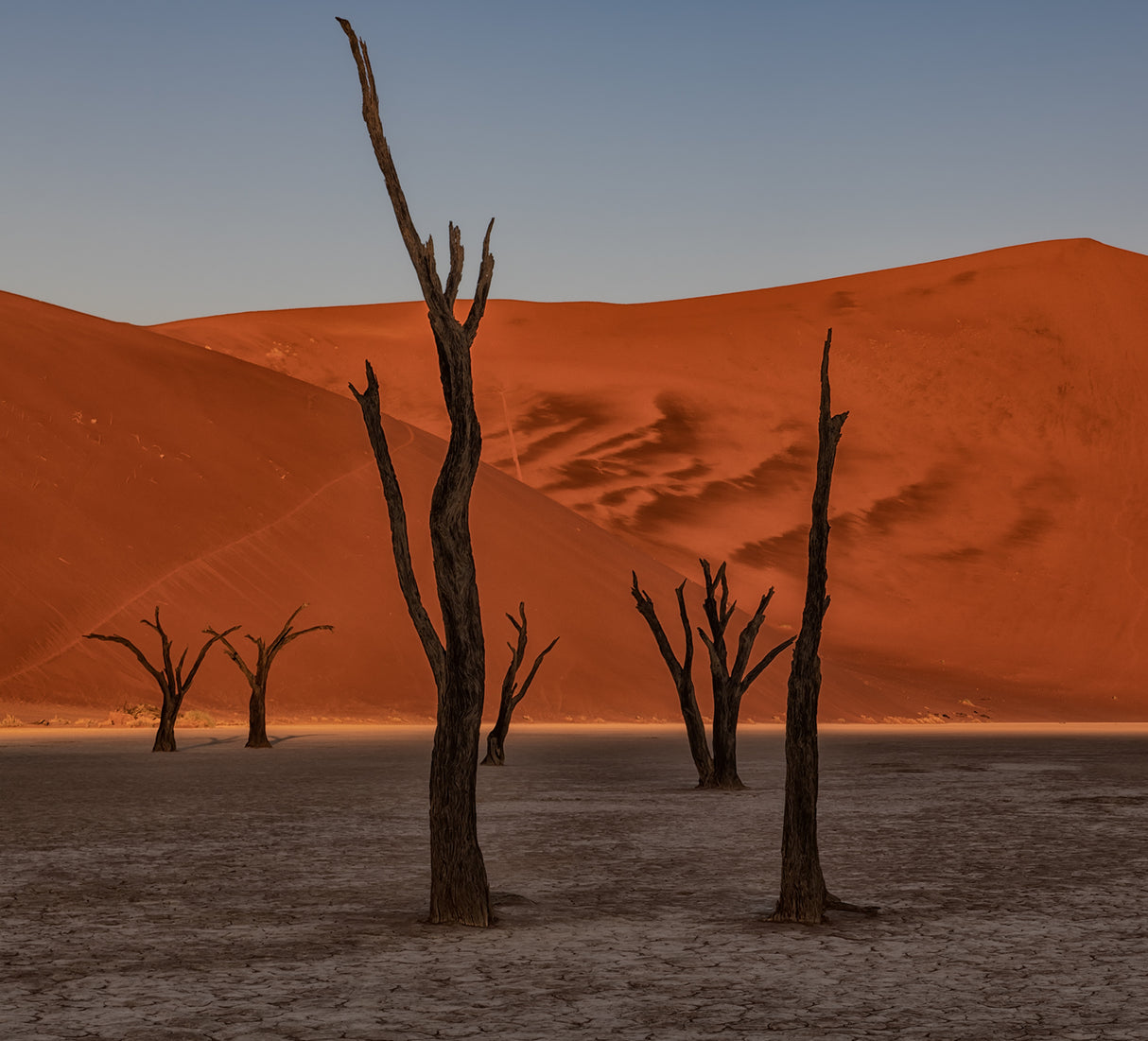 Arid Poster och Canvastavla