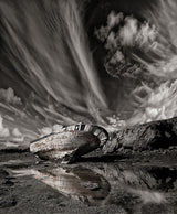 Final Place (mono) Poster och Canvastavla