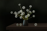 Still Life 2326 Poster och Canvastavla