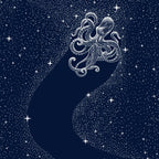 Starry Octopus Poster och Canvastavla