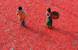 Red Chili Poster och Canvastavla