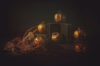 still life of dry pomegranate Poster och Canvastavla