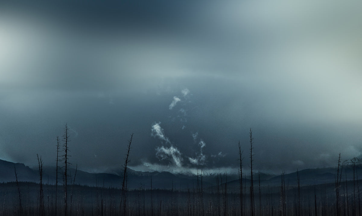 Forest fire 'Blues' Poster och Canvastavla