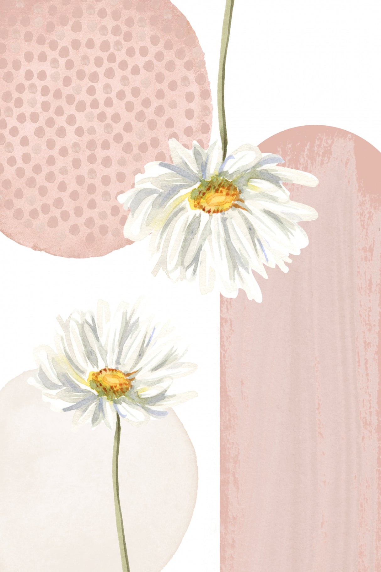 Daisy Pinks 3 Poster och Canvastavla