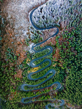 Curves Poster och Canvastavla