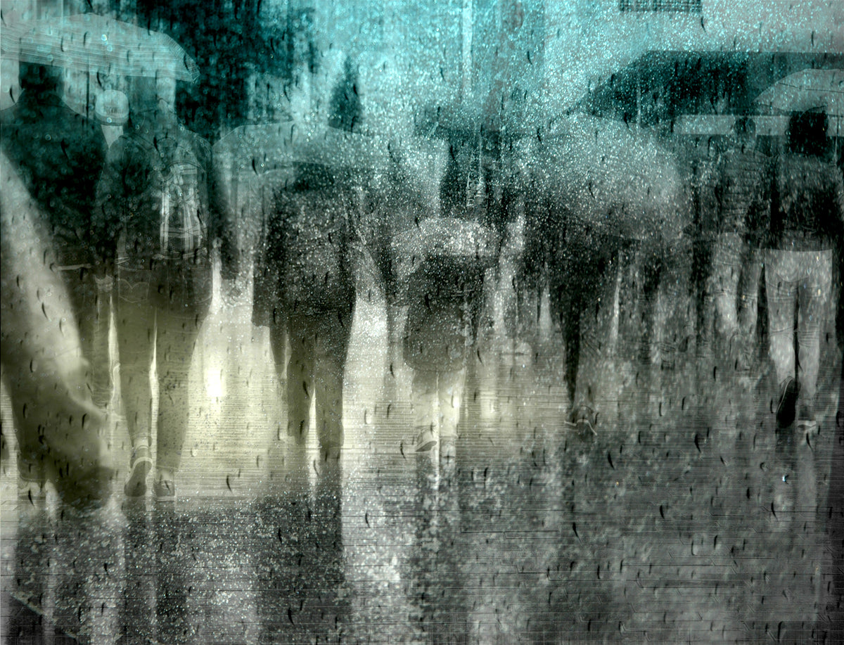Regen Poster och Canvastavla