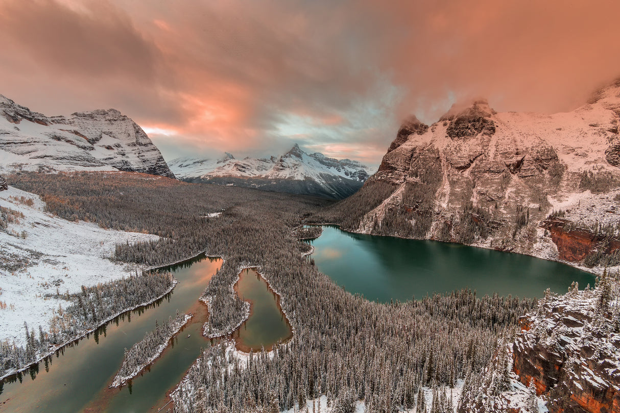 Golden Light over Opabin Lake Poster och Canvastavla