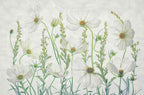 Cosmos Garden Poster och Canvastavla