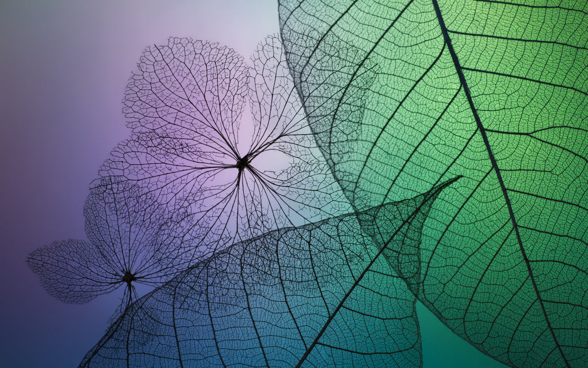 Patchwork of Flowers and Leafs Poster och Canvastavla