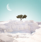 Alien Island. part 4 Poster och Canvastavla