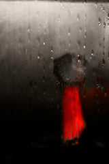 The red dress Poster och Canvastavla