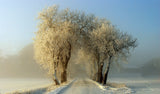 Winter  gateway Poster och Canvastavla