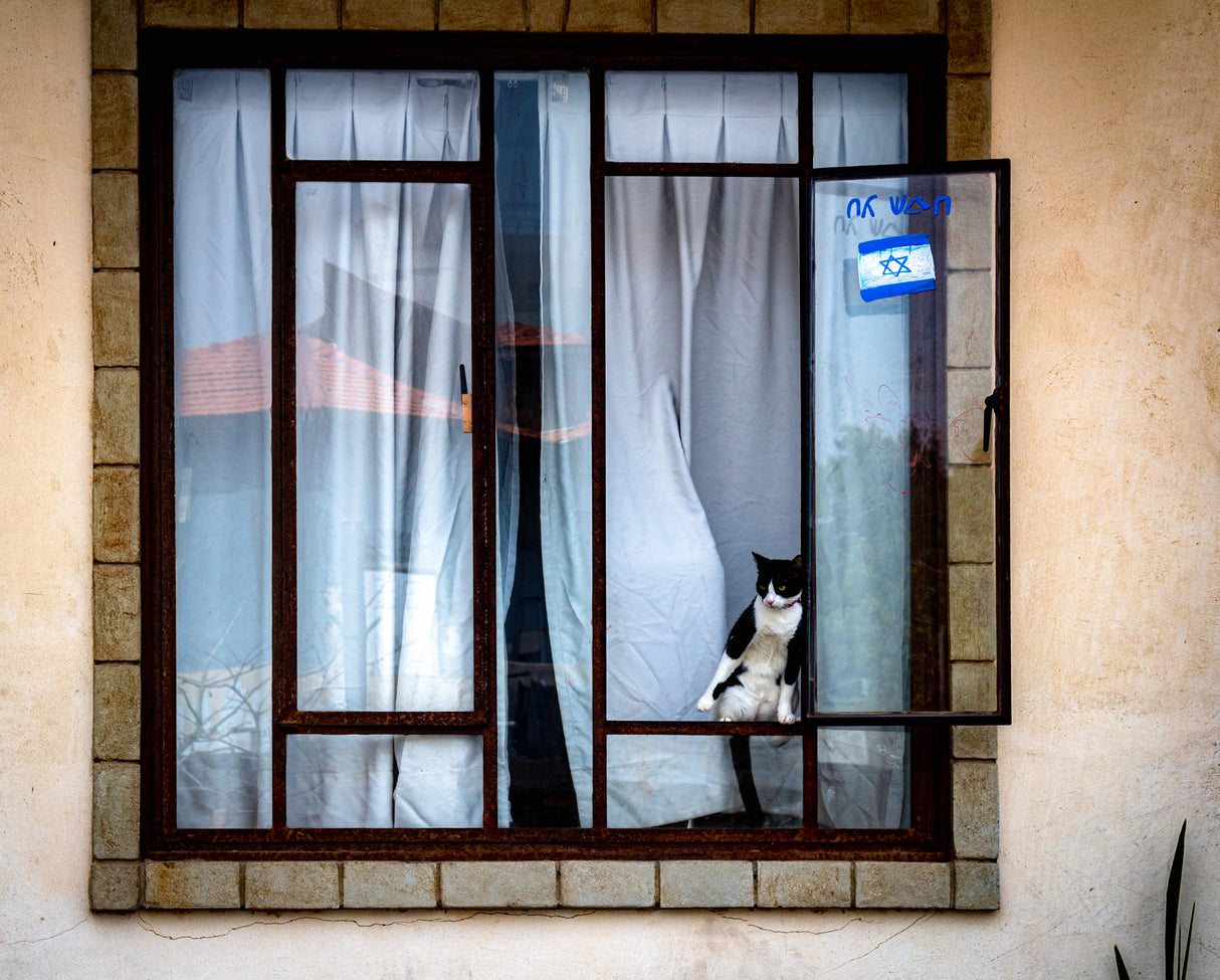 window Poster och Canvastavla