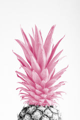 Pinapple Pink 03 Poster och Canvastavla