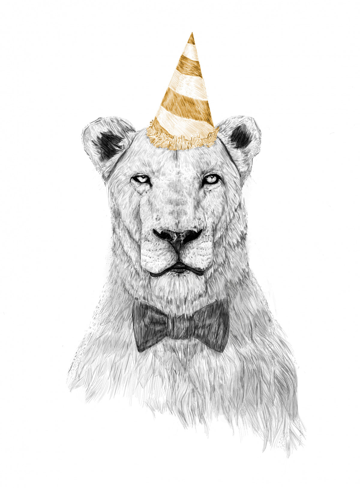 Get the party started Poster och Canvastavla