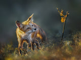Enjoying Fall Foliage Poster och Canvastavla