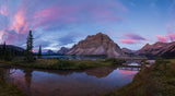 Early Morning at Bow Lake Poster och Canvastavla