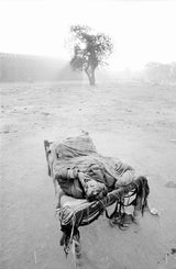 India - Good Morning Old Delhi Poster och Canvastavla