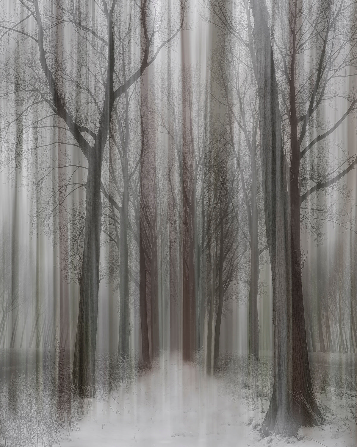 Winter Walz Poster och Canvastavla