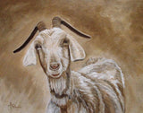 The Smile of a Goat Poster och Canvastavla