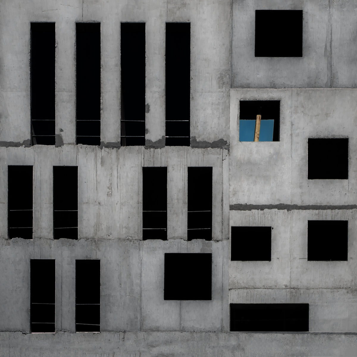 isolation cell Poster och Canvastavla