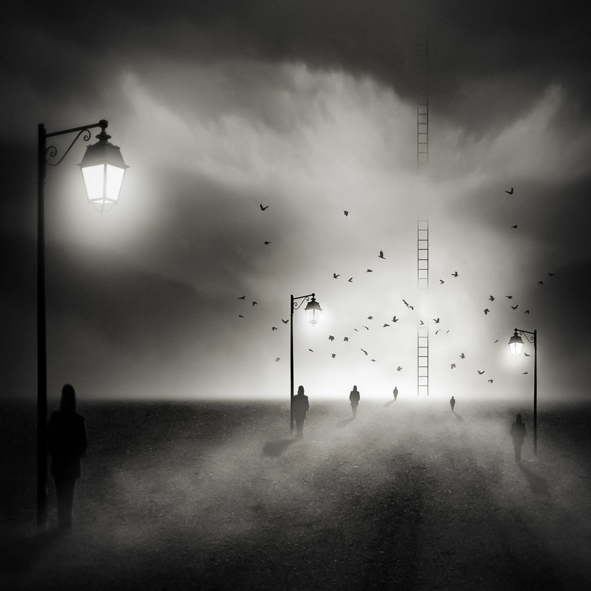 walking to the light... Poster och Canvastavla