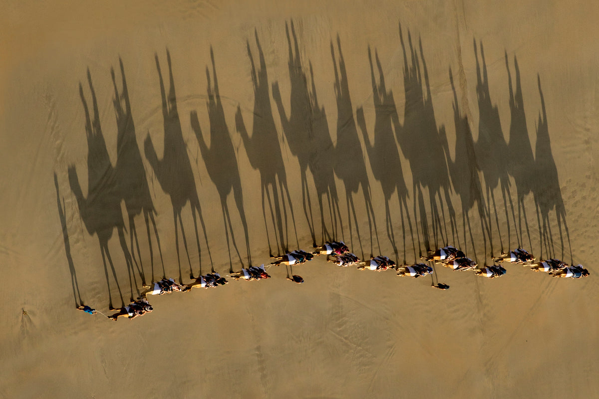 A Journey of Shadows Poster och Canvastavla
