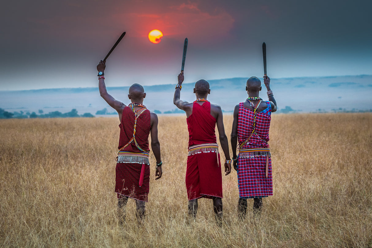 The Masai on full display Poster och Canvastavla