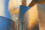 Gehry's Pearl Poster och Canvastavla