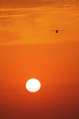 SUN AND LITTLE AIRPLANE Poster och Canvastavla