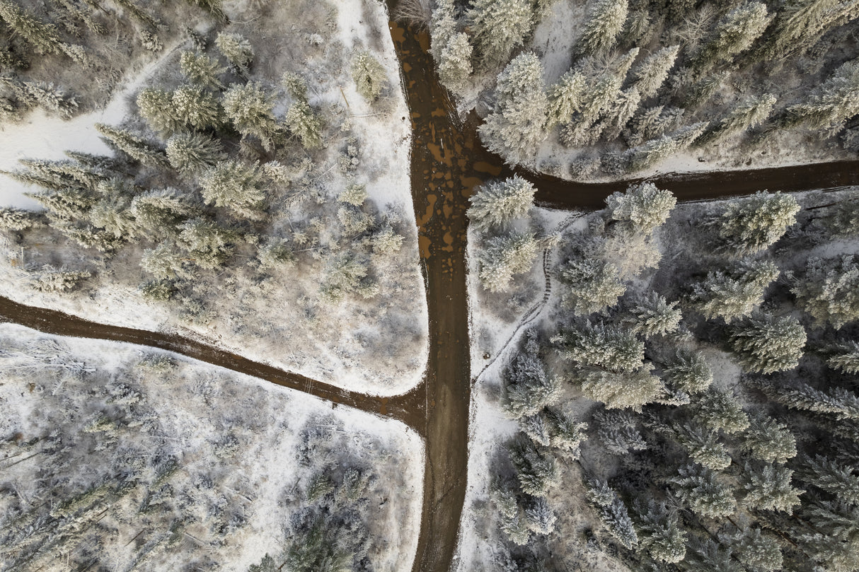 Muddy road Poster och Canvastavla