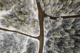 Muddy road Poster och Canvastavla