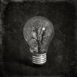 the tree Poster och Canvastavla