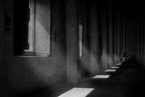 Follow the endless light Poster och Canvastavla